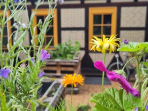 Gästehaus LieNa in der Winkelsmühle