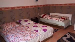 Janka vendégház és Apartman