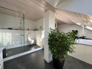 VK - VB - Zürich Airport - Homestay - Villa Bänikon