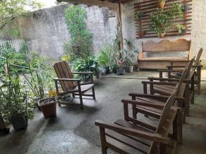 Cop 30 verão ilha de Mosqueiro