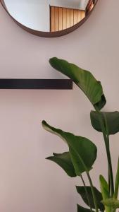 Aretina Florence Villa