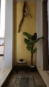 La Tana del Lupo - San Foca