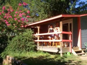 Chalets Chalet 3 etoiles - Piscine - ccaibfi : photos des chambres