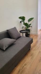 Aretina Florence Villa