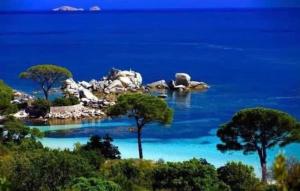 Villas VILLA LE CORAIL ROUGE CORSE : photos des chambres