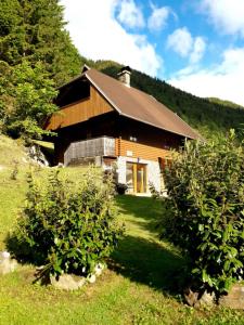 Apartmaji Brložnica pod Veliko planino