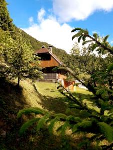 Apartmaji Brložnica pod Veliko planino