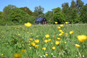 Felix Balena - get away op Texel
