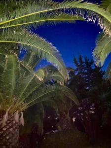 Hotel I Ginepri img25