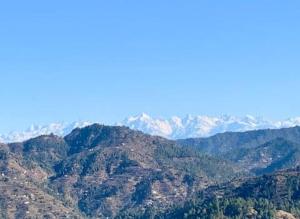 Lions Den Terrace Wing 4 BD Villa cook staff