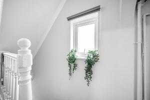 Stylist and Cosy 2 bed Apartment LongStay Parking Sleeps 4 WiFi