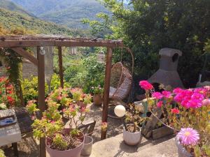 Casa Di mamou