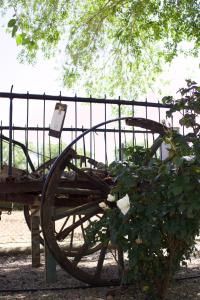 Lujosa casa en la cuna del Quijote
