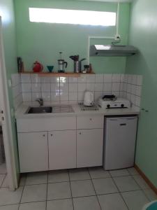 Appartements Centre Les Labadous : Studio avec Vue sur Jardin