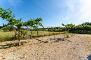 Maisons de vacances Mas lis amelie : photos des chambres
