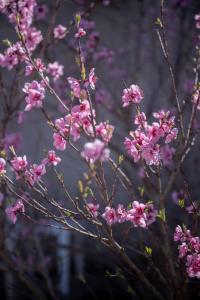 Cest Chouette le gîte !