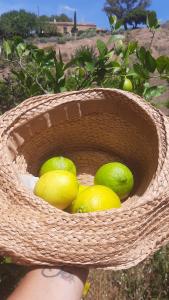 holiday home su Niberalzu img15