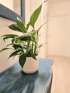 HolidHome - Casa Marbel - Nuovo appartamento con garage a Vicenza zona ospedale