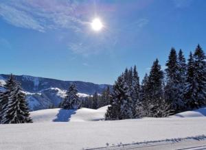 Ferienwohnung Gipfelglück 931 mit Hallenbad und Sauna