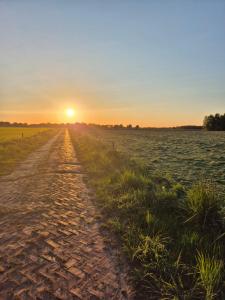 Tinyhouse met Hot Tub en ruime privé tuin