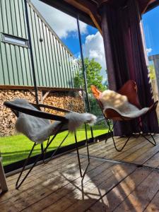 Tinyhouse met Hot Tub en ruime privé tuin