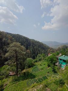 Yamunas The Tree View