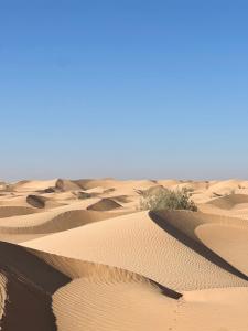 Golden dune Bedouin camp