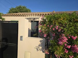 Maisons de vacances Cocoon Luberon : photos des chambres