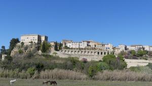 Maisons de vacances Cocoon Luberon : photos des chambres