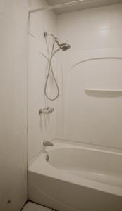 Private room with Shared bath on Square 11