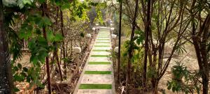 Madhusudan Farms