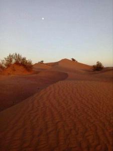 قصر الركابي