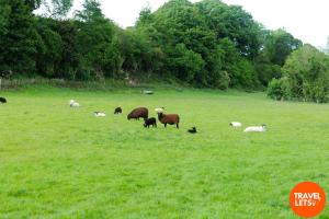 The Olde Sterritt Farmhouse