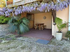 Appartement Rez de chaussée