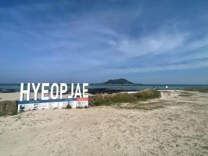 The house with beautiful natural winds and stone walls of Jeju