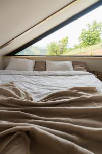 Adăpost Transalpina