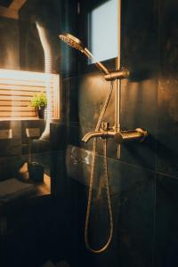 Adăpost Transalpina