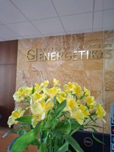 Health & Wellness Center Energetikas