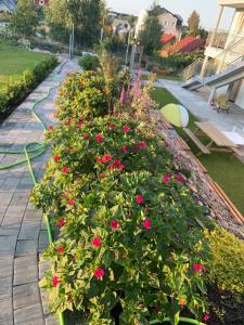 Albatrosa 17 - apartament nr 4