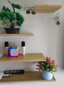 Adam&Eva Condo Staycation