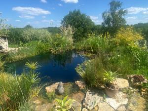 Sejours chez l'habitant Les Temps des Sources : photos des chambres