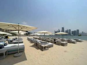 FIRST CLASS Studio Palm Paradise