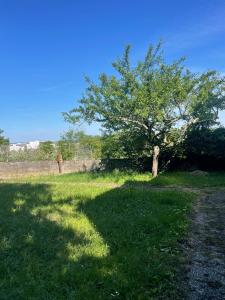 Appartement calme - Proche Toulouse