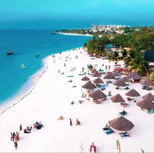 Zanzibar Covert Tour