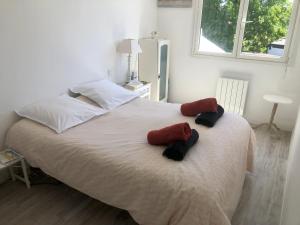 Villas Ty Kilek - entre bourg et plage : photos des chambres