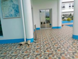 Final Destination Resort