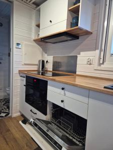 Tajnikowo Sekretny Tiny House Anyżek