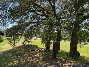 casa rural de un artista en plena naturaleza piscina y parque de esculturas en villarcayo