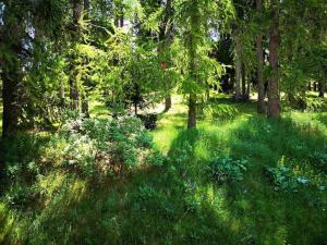 Chalets Chalet 3 pieces pour 7 personnes avec parking et animaux admis - FR-1-504-75 : photos des chambres