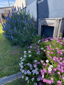 QUIBERON, maison 5pers, calme et lumineuse, commerces et plages à pied